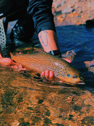 Arbor Anglers Lafayette/Boulder Fly Shop - Thumbnail