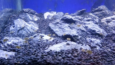 Photos of AQUABLIE