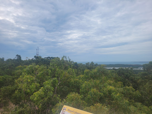 Roy Marika Lookout - Thumbnail