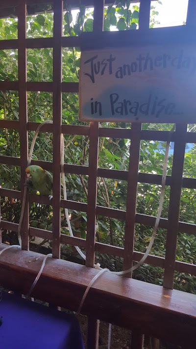Photos of Celeste's Island Cuisine