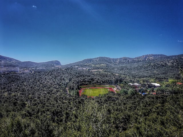 Stade de Luminy