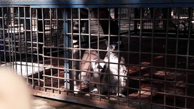 Photos of Zoo Bus Stand