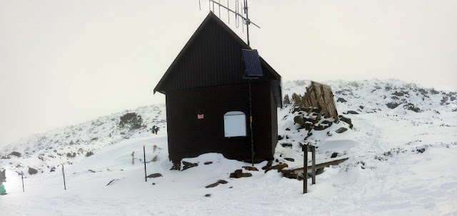 Parc national du mont Field