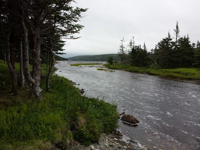 Avalon Wilderness Reserve