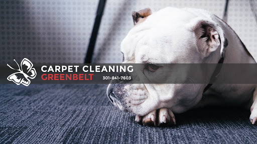 Carpet Cleaning Greenbelt Logo