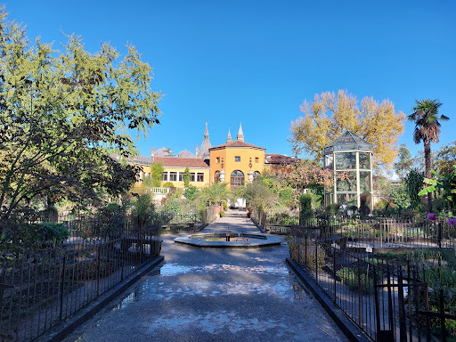 University of Padua Botanical Garden - Thumbnail