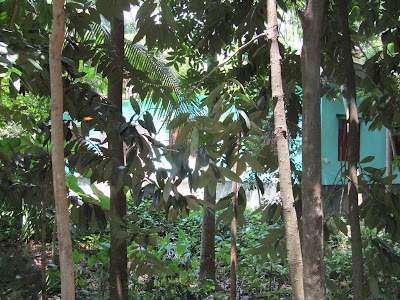 Photos of Makbul Hazi Bari
