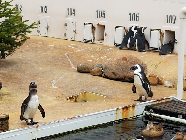 Erlebnis-Zoo Hannover