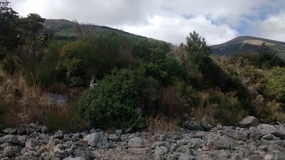 Photos of Camping Felley