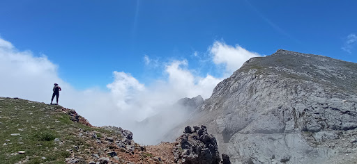 Pico Samelar - Visual