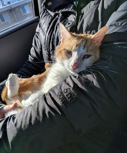 Grand Valley Animal Hospital - Thumbnail
