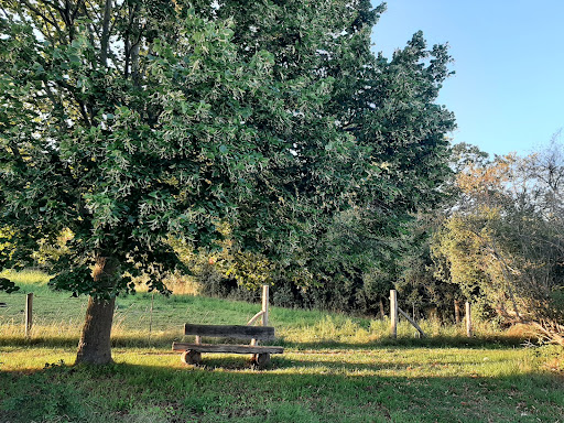 Friedhof Gielde - Thumbnail