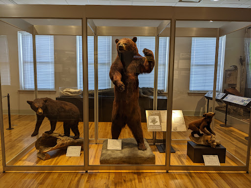 Horry County Museum - Thumbnail