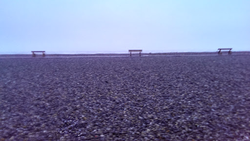 Mayor of Cayeux-sur-Mer - Thumbnail