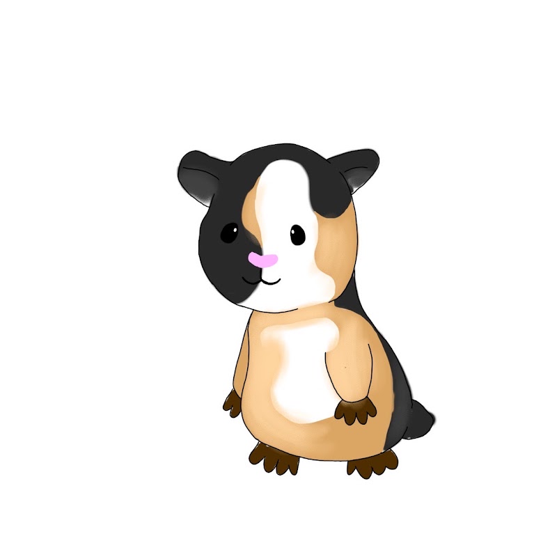 北海道moco不動産