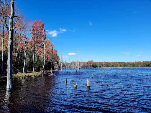 Beaver Run Pond Wildlife Viewing Area Parking - United States