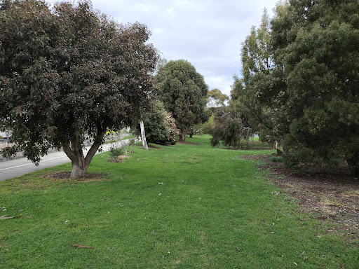International Peace Forest Gallery - Australia
