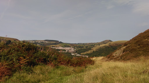 The Oval Ynyshir Gallery - United Kingdom