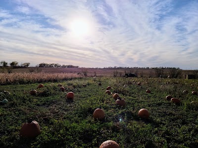 CCCC Corn Maze & Pumpkin Patch