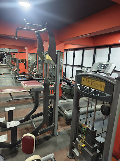 The Big Muscle Fitness