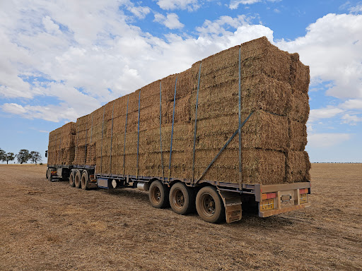 Wirrinourt Transport and Trading - Thumbnail