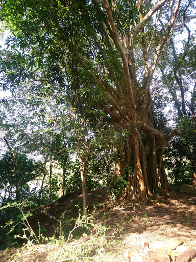 Centro Ecoturístico Xancaltitla - Thumbnail