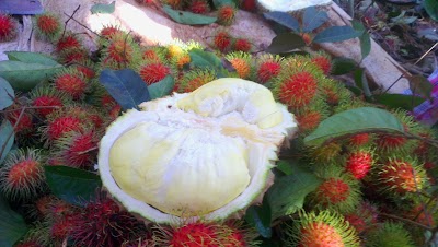 Photos of Natural Fruit Shop