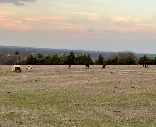 2R Ranch & Equestrian Center