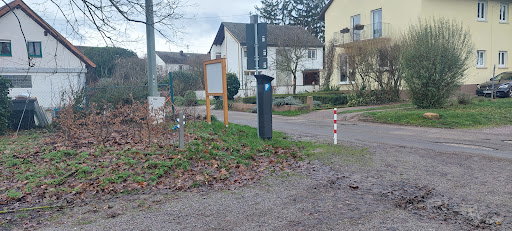 Stellplatz Kirrweiler