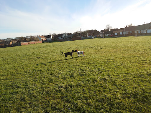 Blyth Valley Retail Park - Thumbnail