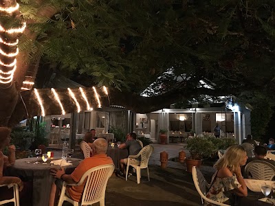 Photos of Buzz Seafood & Grill