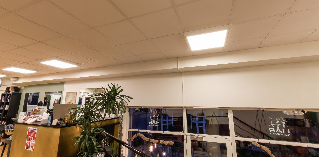 https://www.haarroedderne.dk/