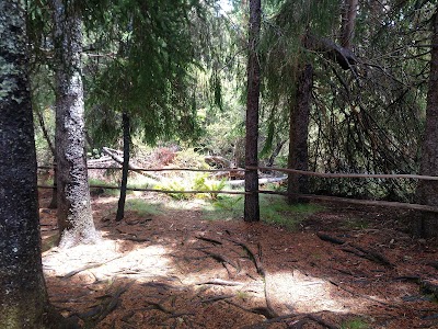 Hosmer Grove Campground