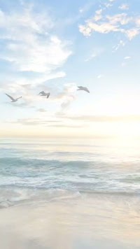 マカナ-miranda office-サラギフィールド