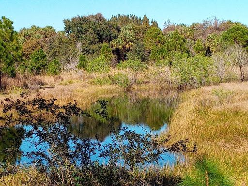 George LeStrange Preserve - Visual