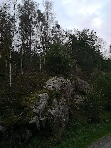 300 Området - Thumbnail