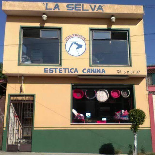 Veterinaria La Selva