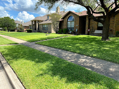 Beyond Lawn Care & Landscaping LLC