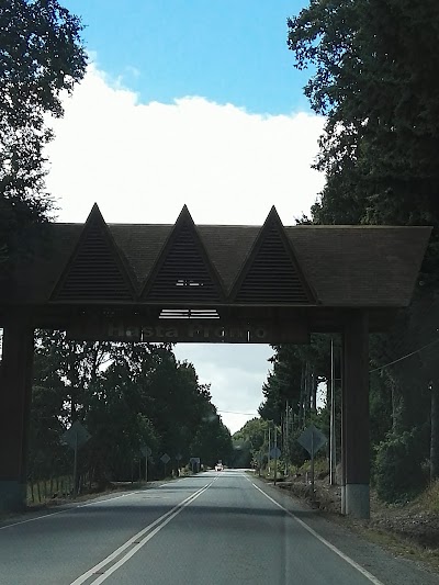 Photos of camping arrayanes de foresta