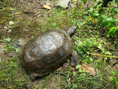 Kentucky Reptile Zoo