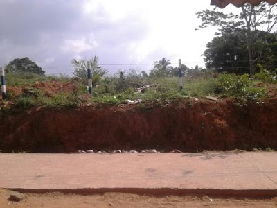 police