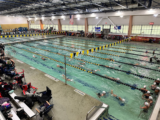 Felix Festa Middle School Pool Logo