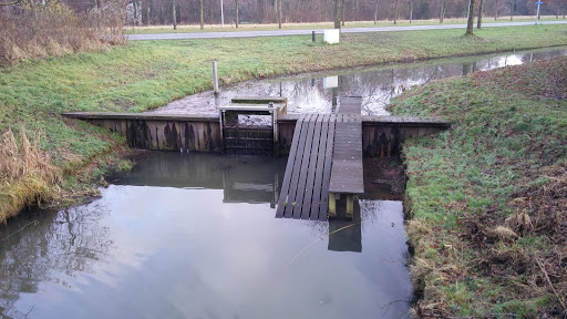 Lelystad, Oostranddreef