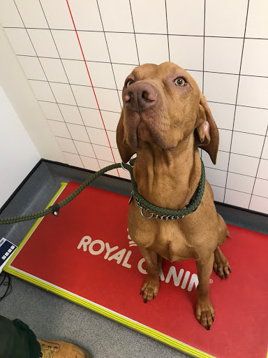 Minster Veterinary Centre - Thumbnail