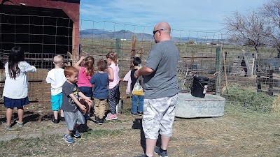 Broken Wheel Petting Farm