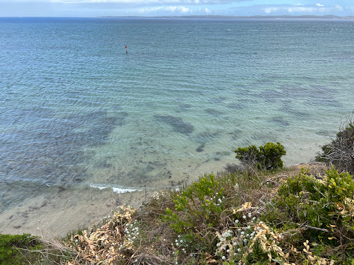Queenscliff Black Lighthouse - Thumbnail
