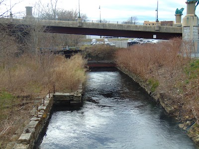 Frog Bridge