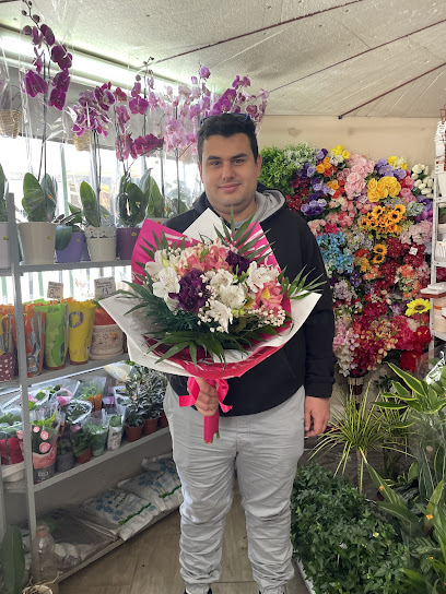 Цветарски магазин "Жасмин"