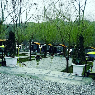 Photos of رستوران اورانوس