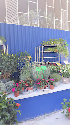 Photo n°54 de Marché Central de Royan à Royan (Marché alimentaire)